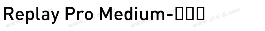 Replay Pro Medium字体转换